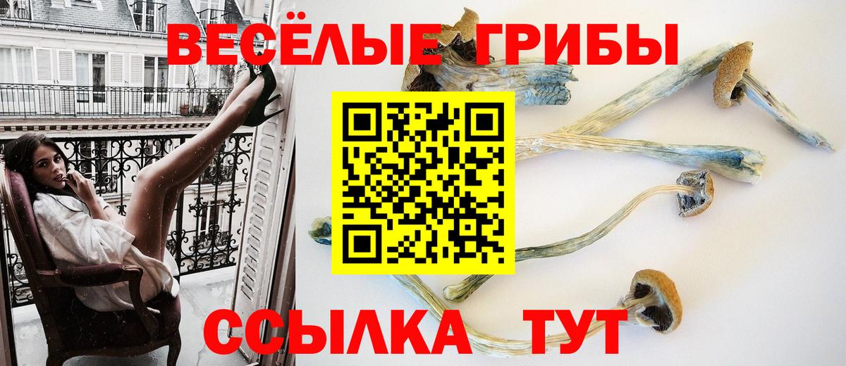 Галлюциногенные грибы прущие грибы  Псилоцибиновые грибы Psilocybe  Вход с VPN  Братск 