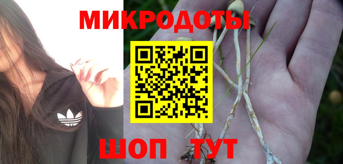 Галлюциногенные грибы мухоморы Братск